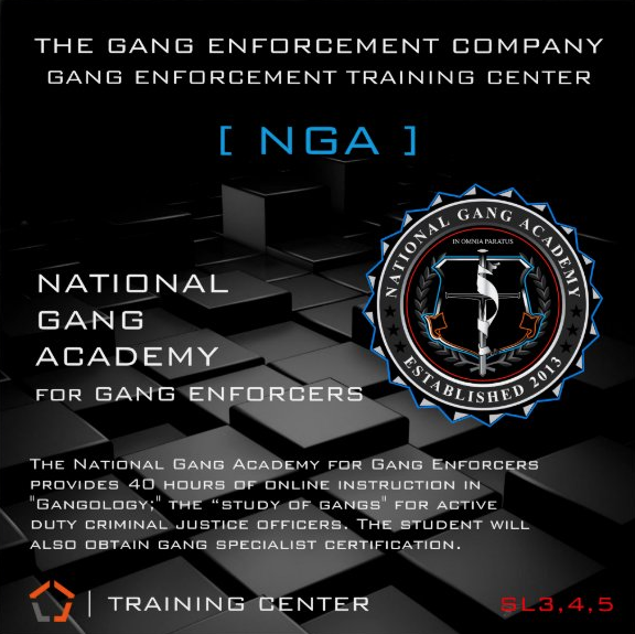 National Gang Academy | Criminal Justice