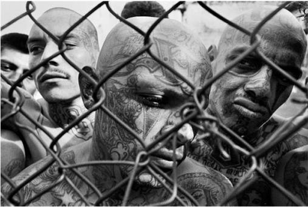 Corrections Anti-Gang Specialist Certification