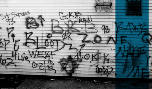 Basic Gang Specialist Certification | Criminal Justice